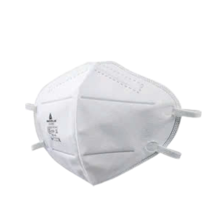 Khẩu trang Deltaplus WM1KN95BHC